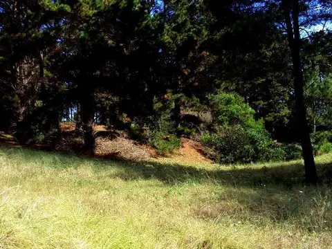 Terreno en Venta, FOT 1