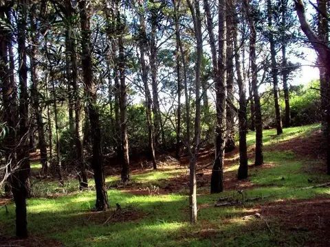 Terreno en Venta 44  mts Fondo