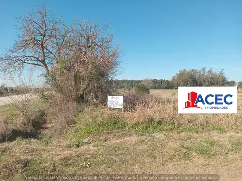 Terreno en Venta en Monje, USD 720.000