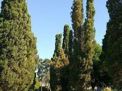 Country club el Jaguel