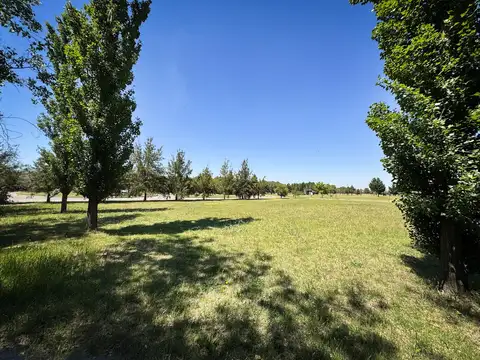 Terreno en Venta de 1376,0 m2