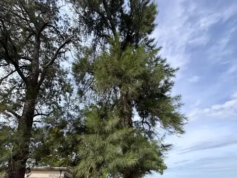 Venta de campo mixto en la Sarita