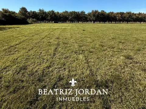 CHACRA EN VENTA, BARRIO CERRADO LA MACARENA, CAPILLA DEL SEÑOR