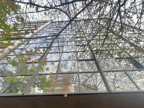 12 e/ 48 y 49 n° 817 4°