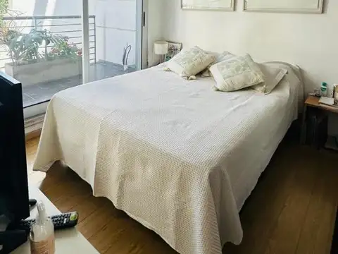 DEPARTAMENTO MONOAMBIENTE MUY LUMINOSO VISTA PANORAMICA