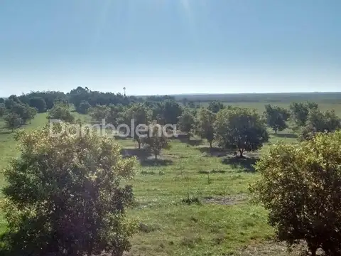 Terreno  en Venta o permuta ubicado en Punta Indio, Resto de la Provincia