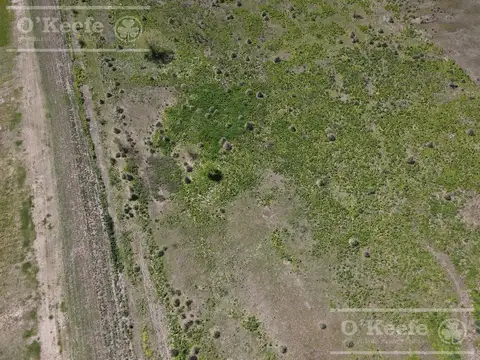Terreno en Venta de 11972,0 m2