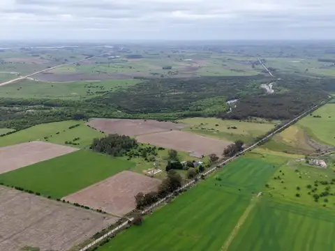 VENTA CAMPO 126 HA, Vivienda y ex Haras, Florida