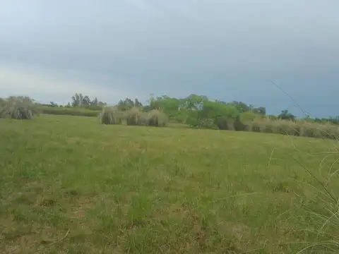 Terrenos en venta - 6621.6Mts2 - Coronel Hughes, Colón, Entre Ríos