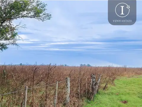A 2000 mts de Ruta 6 en San Vicente