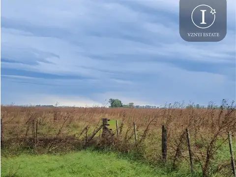 Campo en  San Vicente