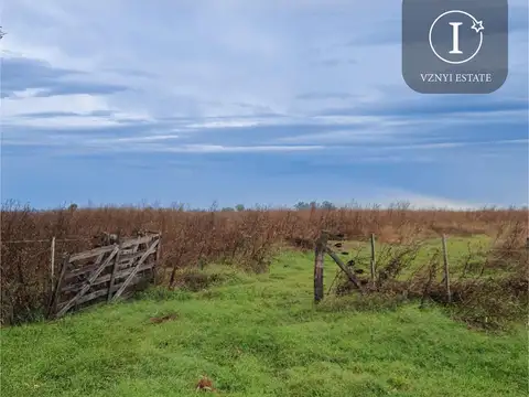 A 2000 mts de Ruta 6 en San Vicente