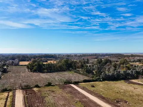Terreno en venta en  Barrio Parque Altos El Ombu, Exaltación de la Cruz, Los Cardales, GBA Norte