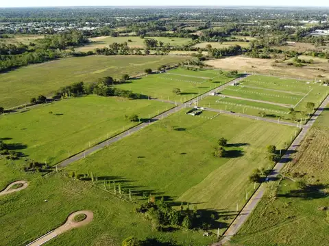 501y161 (SENDEROS) ABIERTO (F.17-L.3) UF. 3