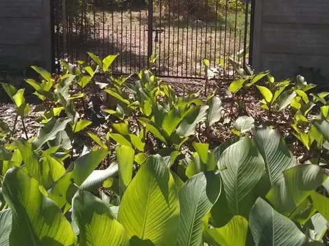 Terreno en Venta de 480,0 m2