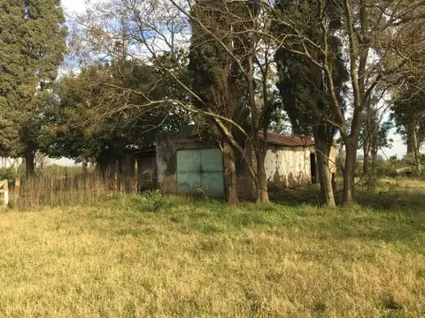 17 hectáreas 2 casas añosa arboleda galpón