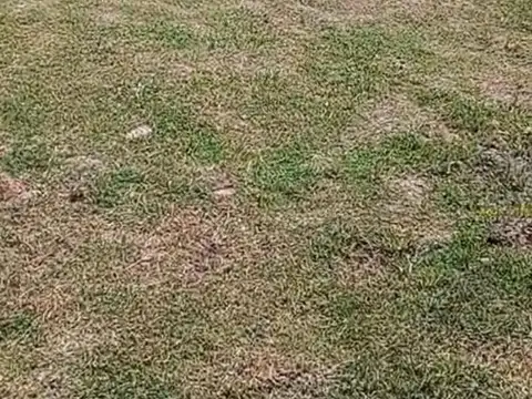 Casa en Venta al Sur