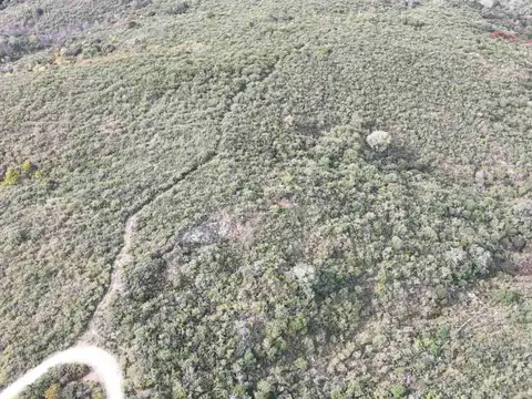 Terreno en Venta de 25404,0 m2