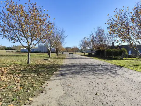 Terreno en venta en Cerrito Colorado