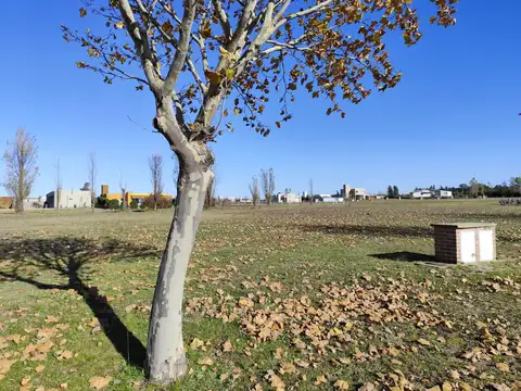 Terreno en Venta de 1023,0 m2