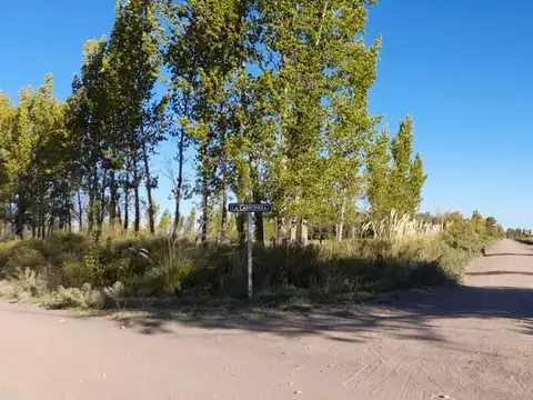 Terreno en Venta en General Alvear, Mendoza