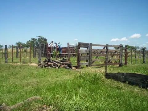 Campo en Alejandra