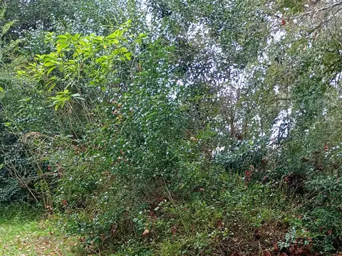 Terreno en Venta de 2400,0 m2