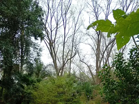 RIO   SARMIENTO  Y ESPERA 6