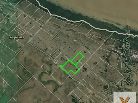 Campo en venta - 290.000Mts2 - 29 Hectáreas - Magdalena, Atalaya