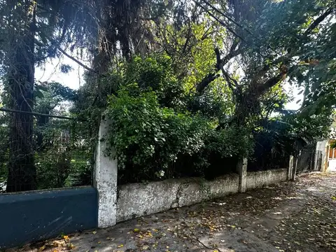 Calle 116 entre 37 y 38