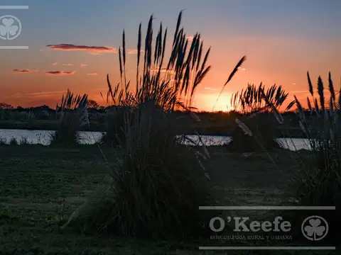 Lote en venta en Puerto Nizuc - Oportunidad de inversión en Guillermo Hudson