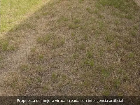 Bernardo Metzig 1700