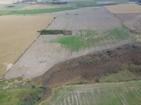 Campo en Venta de 49  ha