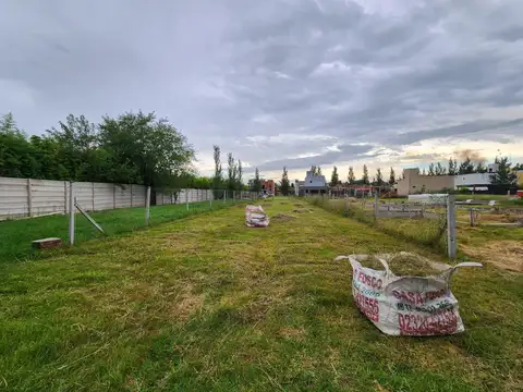 Barrio Tipas Blancas