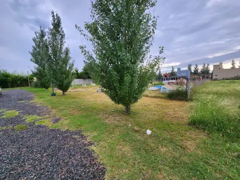 Terreno en Venta 40  mts Fondo