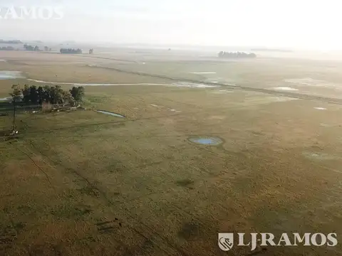 300 ha ganaderas, Labardén, Pdo. Gral. Guido, Bs. As.
