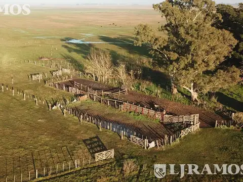 300 ha ganaderas, Labardén, Pdo. Gral. Guido, Bs. As.