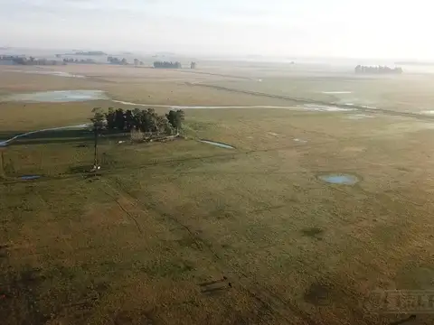 300 ha ganaderas, Labardén, Pdo. Gral. Guido, Bs. As.
