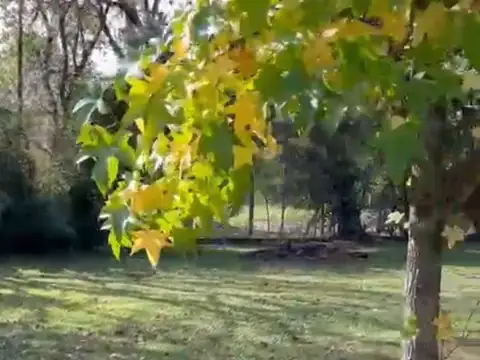 Terreno En Venta Excelente Ubicación Parque Gorriti