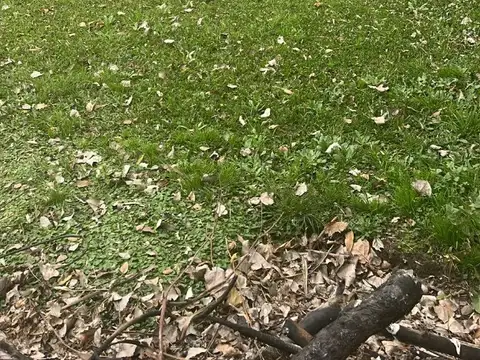 Diagonal Milán 3800