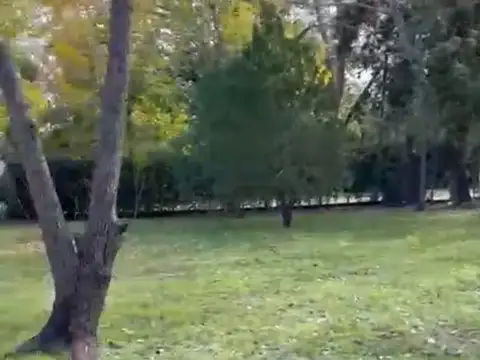 Terreno en Venta 20  mts Frente