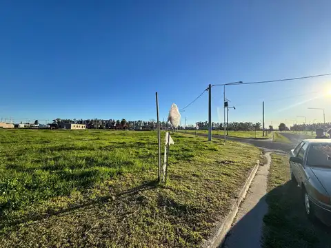 Terreno en Venta de 300,0 m2
