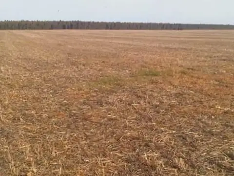 Necochea - 194 has. Agricola