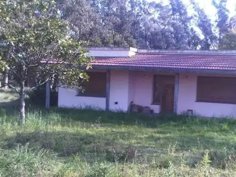 Necochea - 194 has. Agricola