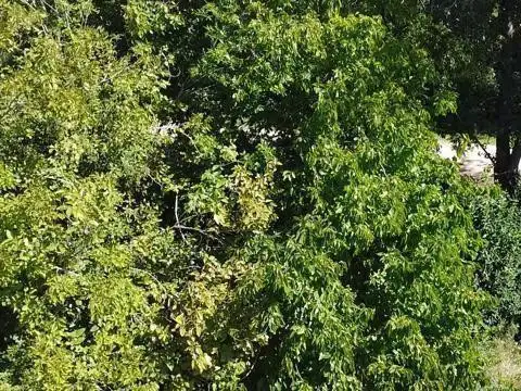 Terreno en Venta en Parque Sakura, USD 32.000