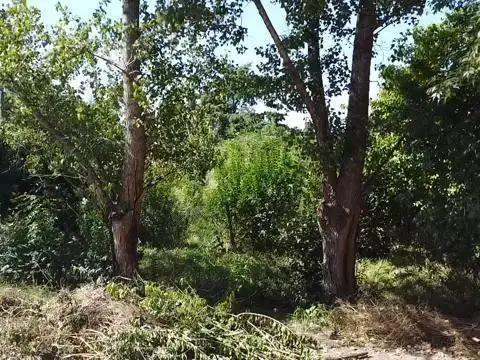 Terreno Lote  en Venta ubicado en Sakura