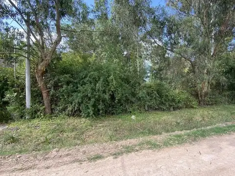 Terreno Lote  en Venta ubicado en Sakura