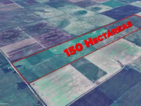 Campo en Venta en Moises Ville, San Cristóbal