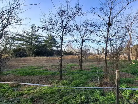 LOTE EN VENTA EN 9 DE JULIO