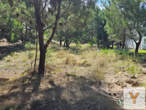 Terreno en Venta de 1100,0 m2